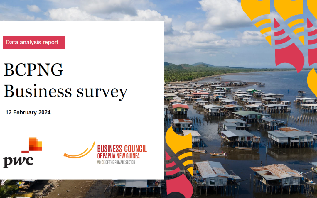 BCPNG Business Survey – Jan 10 2024 Looting in PNG